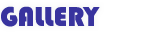 ギャラリー